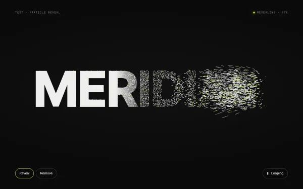Particle Text Reveal preview